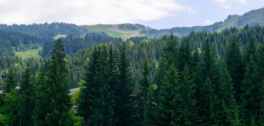 Pourquoi réserver dès la fin de l'été votre séjour au ski à Méribel ?